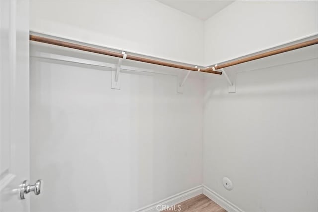 80 Hedge Bloom, Irvine, CA 92618 - walk in closet with light wood-type flooring