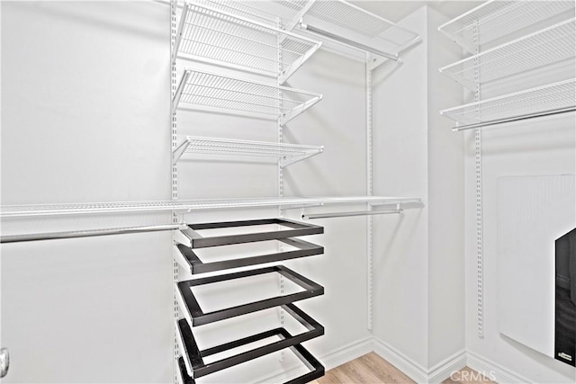 80 Hedge Bloom, Irvine, CA 92618 - walk in closet with wood finished floors