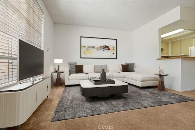 33 Abrazo Aisle Unit 174, Irvine, CA 92614 - carpeted living room with a textured ceiling