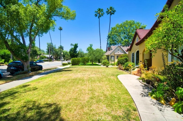 900 S Los Robles Ave, Pasadena, CA 91106 - view of grassy yard