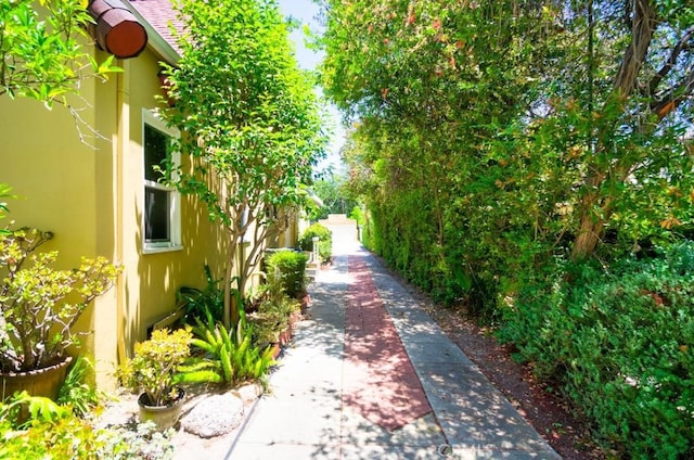 900 S Los Robles Ave, Pasadena, CA 91106 - view of yard