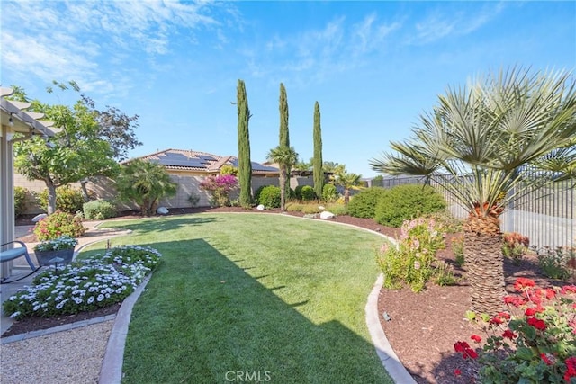 44655 Howell Mountain St, Temecula, CA 92592 - view of yard