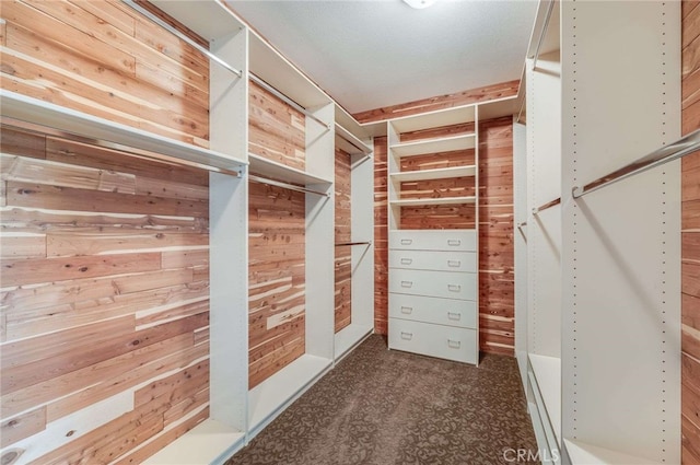 8911 Mustang Rd, Alta Loma, CA 91701 - spacious closet with dark carpet