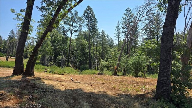 0 Adrian Dr, Magalia, CA 95954 - photo 15