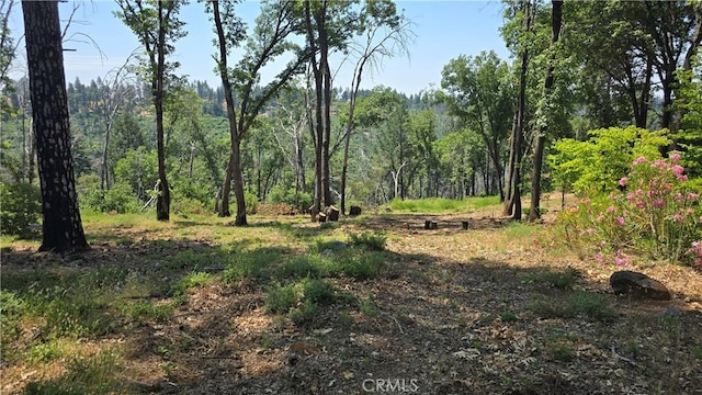 0 Adrian Dr, Magalia, CA 95954 - photo 6