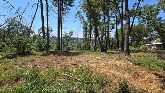 0 Adrian Dr, Magalia, CA 95954 - photo 14