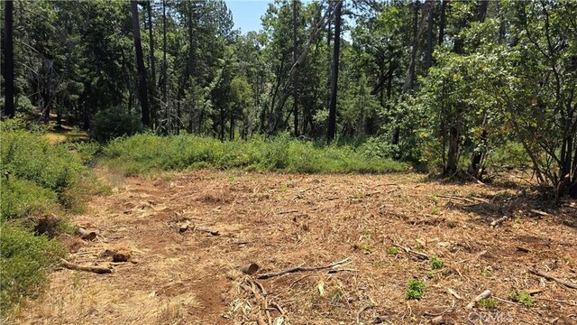 0 Adrian Dr, Magalia, CA 95954 - photo 16
