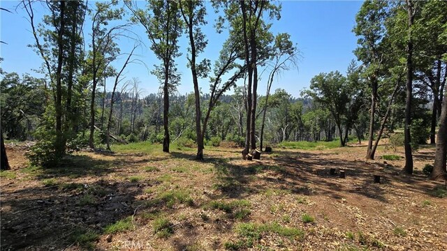 0 Adrian Dr, Magalia, CA 95954 - photo 9