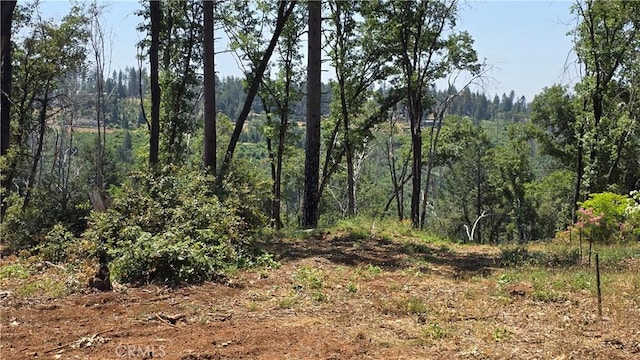 0 Adrian Dr, Magalia, CA 95954 - photo 3