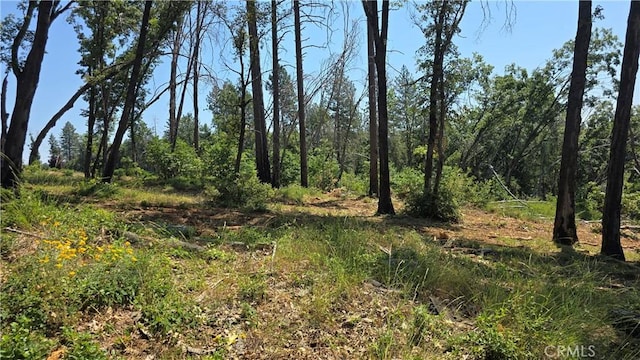 0 Adrian Dr, Magalia, CA 95954 - photo 8