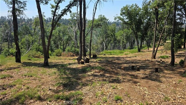 0 Adrian Dr, Magalia, CA 95954 - photo 10