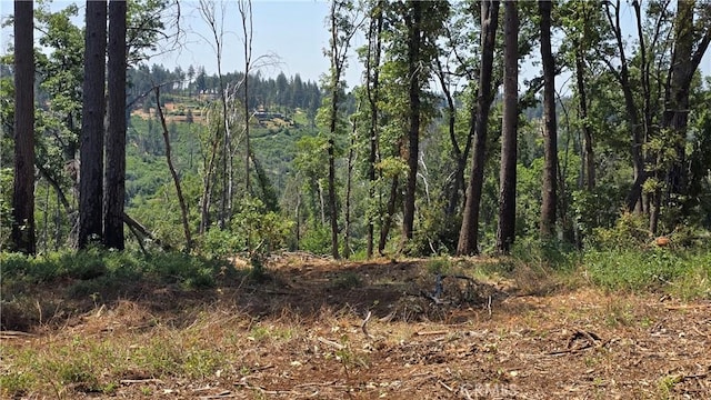 0 Adrian Dr, Magalia, CA 95954 - photo 18