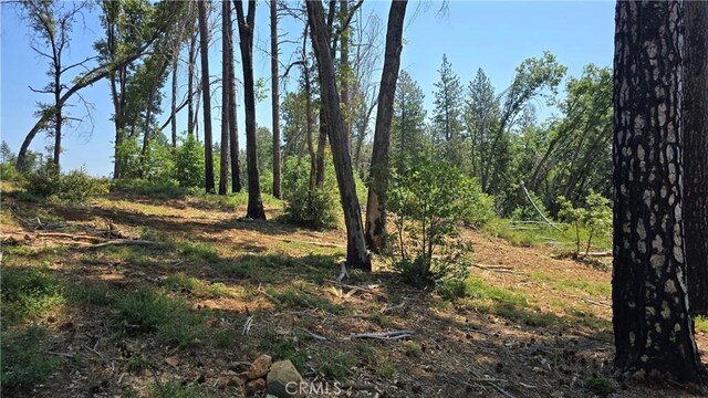 0 Adrian Dr, Magalia, CA 95954 - photo 12
