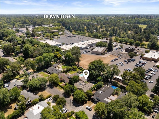 1013 Arbutus Ave, Chico, CA 95926 - aerial view