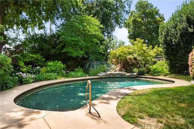 1013 Arbutus Ave, Chico, CA 95926 - swimming pool featuring view of wooded area