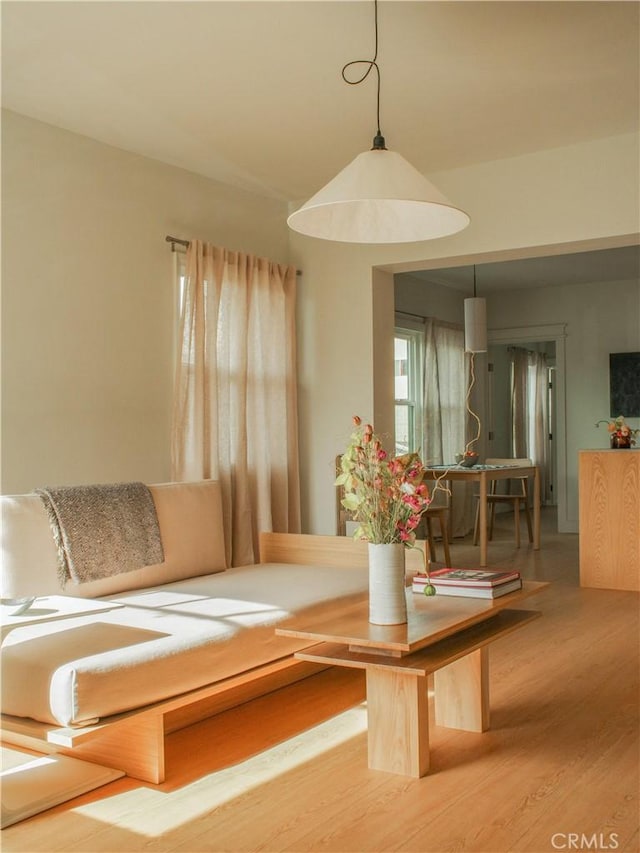 1807 Montana St, Los Angeles, CA 90026 - living room featuring wood finished floors