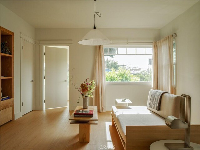 1807 Montana St, Los Angeles, CA 90026 - living area with light wood-style floors