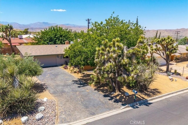 8160 Cholla Ave, Yucca Valley, CA 92284 - view of property hidden behind natural elements with a mountain view, asphalt driveway, and a garage