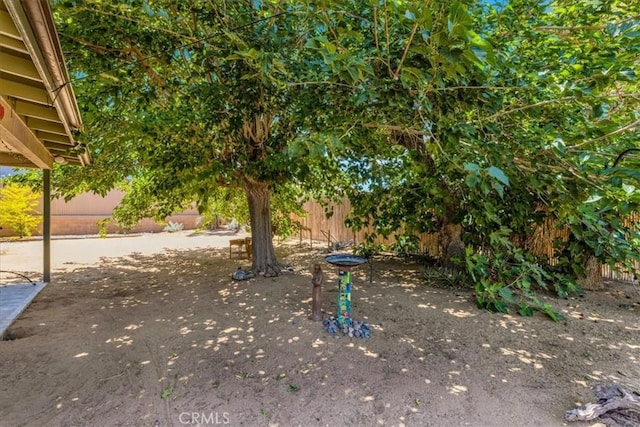 8160 Cholla Ave, Yucca Valley, CA 92284 - view of yard