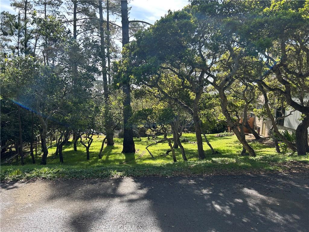 0 Benson Ave, Cambria, CA 93428 - photo 1