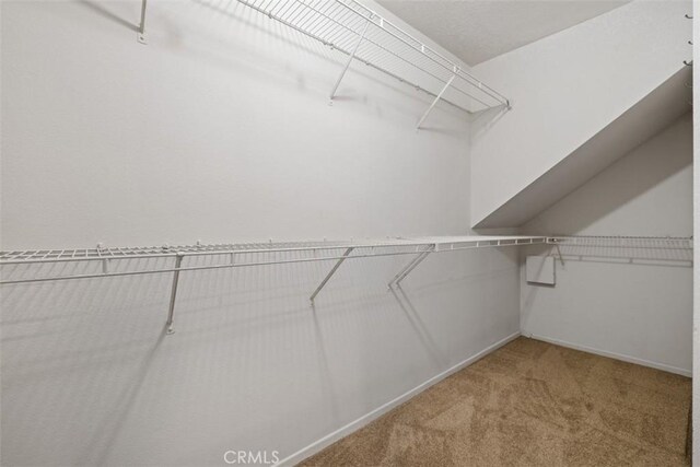 25066 El Carrizo, Laguna Niguel, CA 92677 - walk in closet featuring carpet flooring