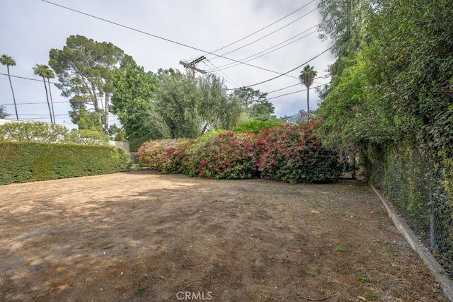 315 E Randolph St, Glendale, CA 91207 - view of yard