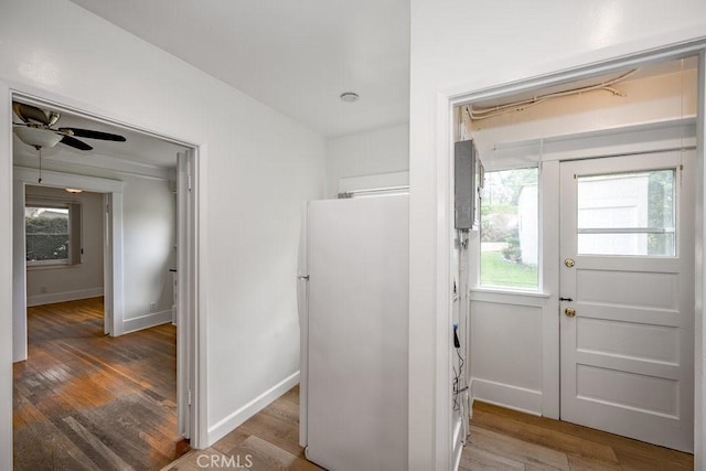 315 E Randolph St, Glendale, CA 91207 - entrance foyer featuring wood finished floors and a ceiling fan