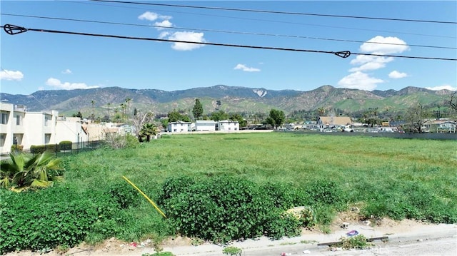 1530 E Marshall Blvd, San Bernardino, CA 92404