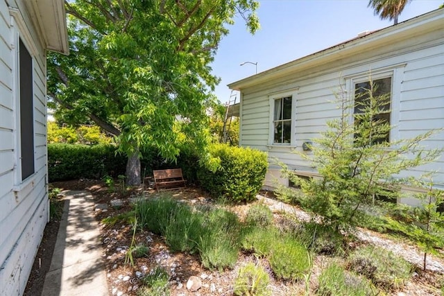 863 Chorro St, San Luis Obispo, CA 93401 - view of yard