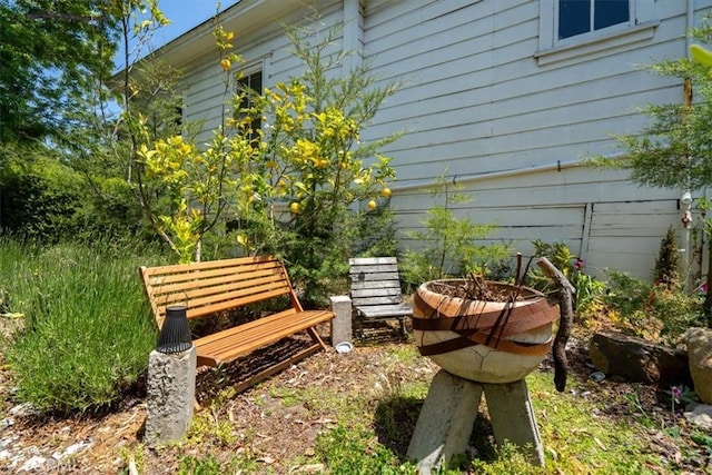 863 Chorro St, San Luis Obispo, CA 93401 - view of yard