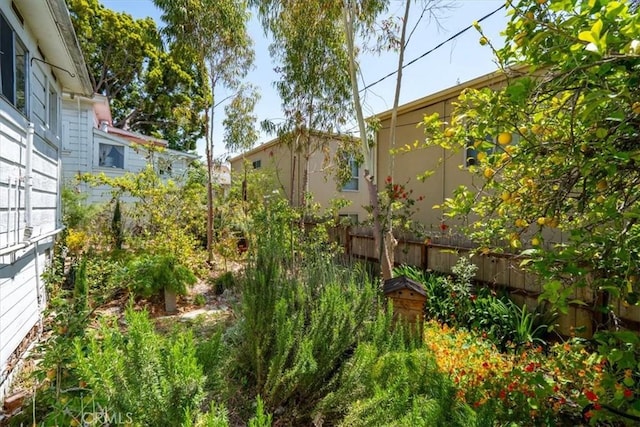 863 Chorro St, San Luis Obispo, CA 93401 - view of yard