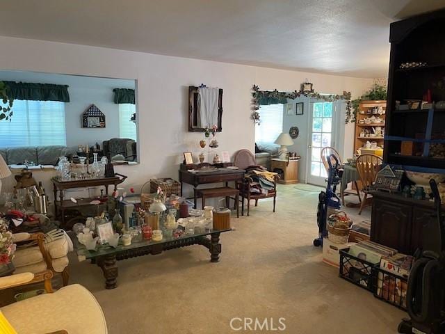 18759 Mayall St, Northridge, CA 91324 - living area with carpet flooring and plenty of natural light
