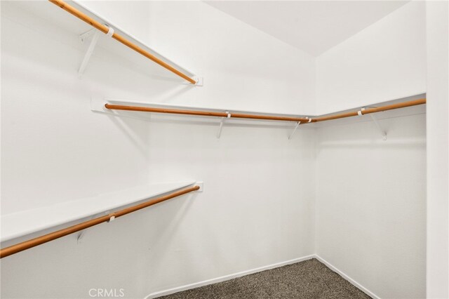 33546 Maplewood Ct, Temecula, CA 92592 - spacious closet with carpet flooring