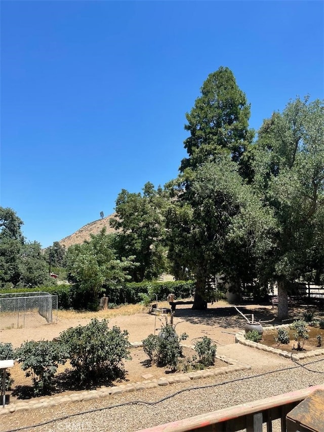 46921 266th St W, Lake Hughes, CA 93532 - view of yard