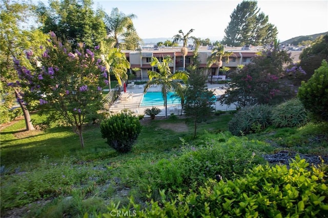 9418 Via Patricia Unit 30, Burbank, CA 91504 - community pool featuring a patio