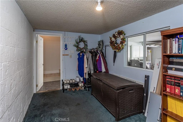 9418 Via Patricia Unit 30, Burbank, CA 91504 - bedroom featuring concrete block wall, carpet floors, and a textured ceiling