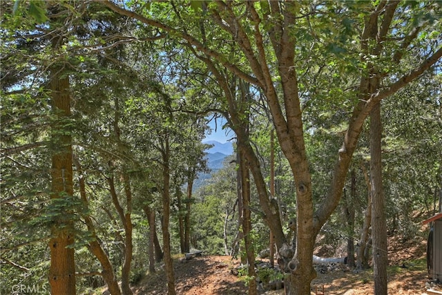 582 Sunset View Rd, Twin Peaks, CA 92391 - view of undeveloped land with mountains