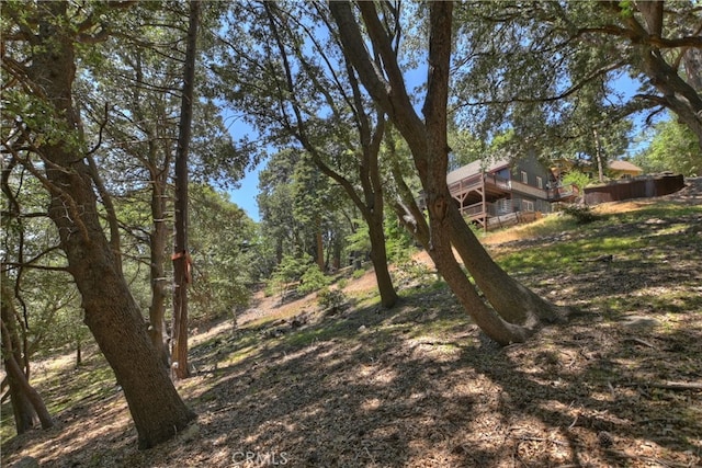 582 Sunset View Rd, Twin Peaks, CA 92391 - view of yard