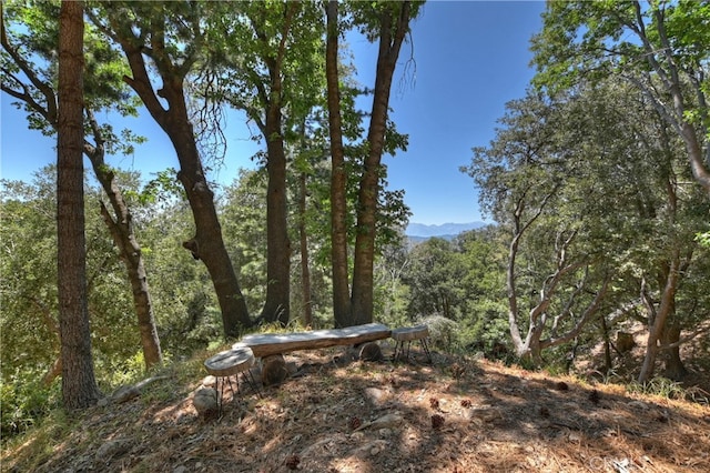 582 Sunset View Rd, Twin Peaks, CA 92391 - view of yard with a wooded view