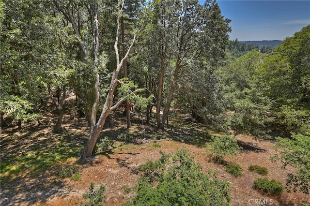 582 Sunset View Rd, Twin Peaks, CA 92391 - view of woods