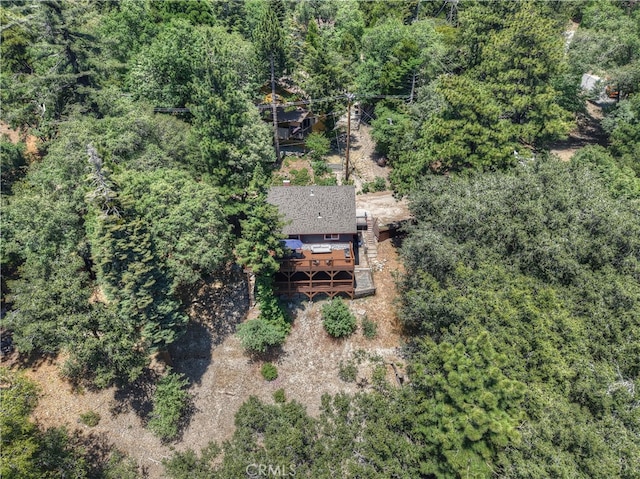 582 Sunset View Rd, Twin Peaks, CA 92391 - view of subject property
