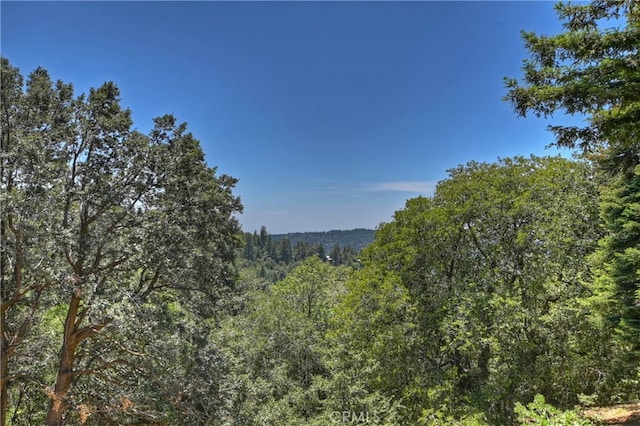 582 Sunset View Rd, Twin Peaks, CA 92391 - view of woods