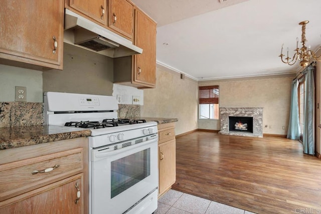 4556 Mariners Bay, Oceanside, CA 92057 - kitchen with white gas range, under cabinet range hood, ornamental molding, a fireplace, and open floor plan