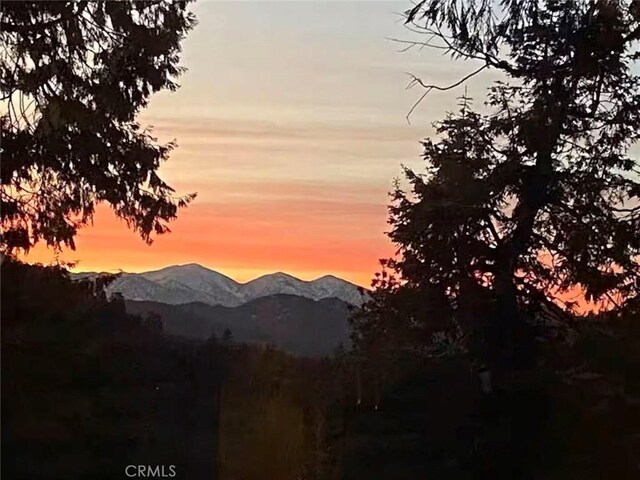 920 Arbula Dr, Crestline, CA 92325 - photo 39