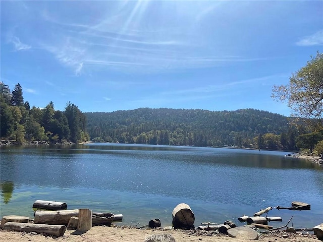 920 Arbula Dr, Crestline, CA 92325 - photo 37
