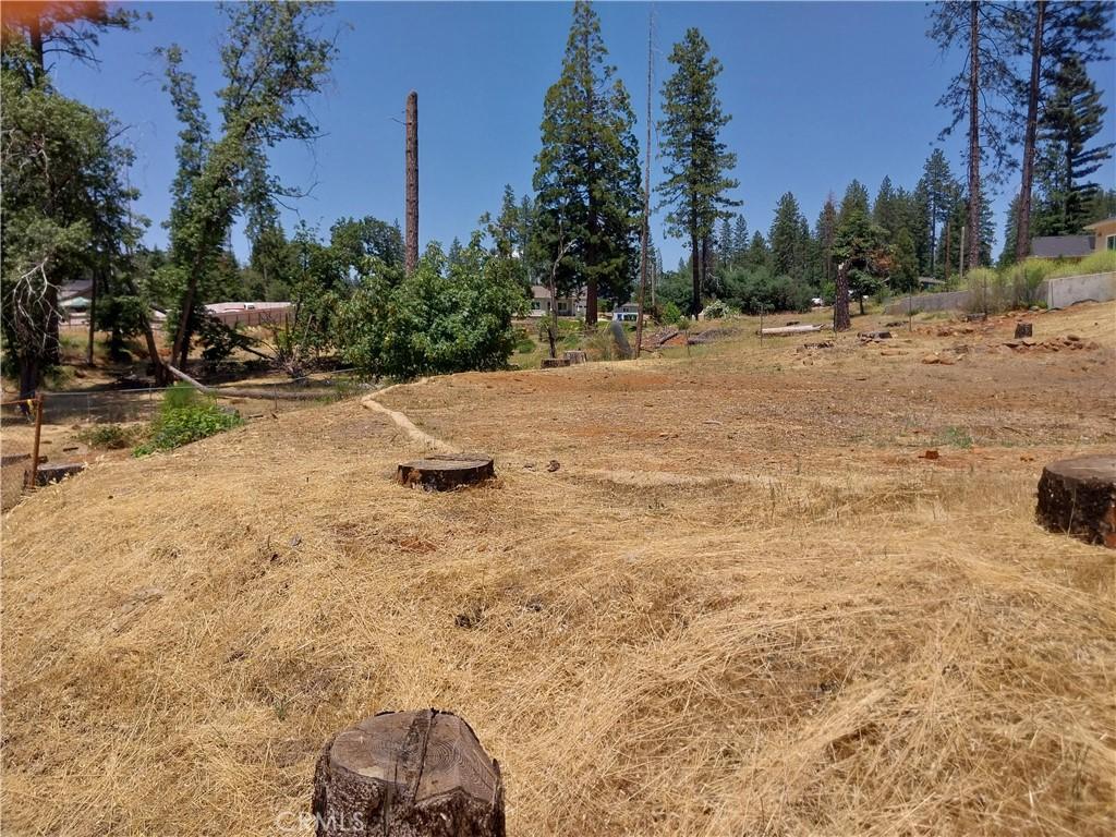 1667 Wagstaff Rd, Paradise, CA 95969