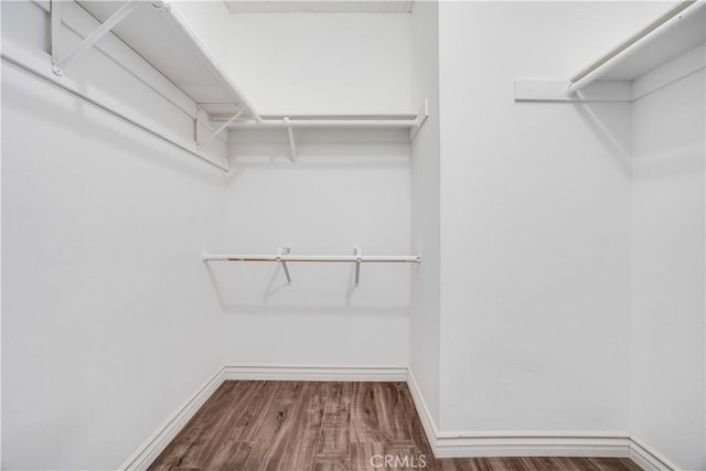 37940 42nd St E Unit 129, Palmdale, CA 93552 - walk in closet featuring wood finished floors