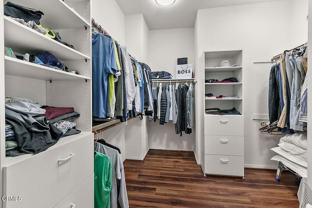 2981 Yucca Dr, Camarillo, CA 93012 - spacious closet with dark wood finished floors