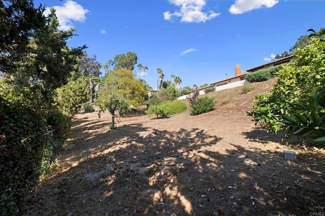 917 Gretna Green Way, Escondido, CA 92025 - view of yard