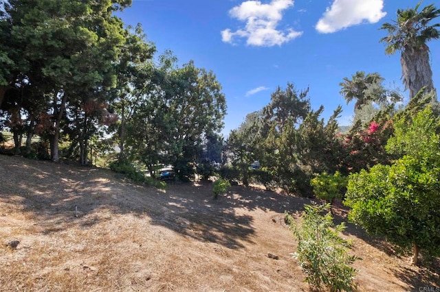 917 Gretna Green Way, Escondido, CA 92025 - view of nature